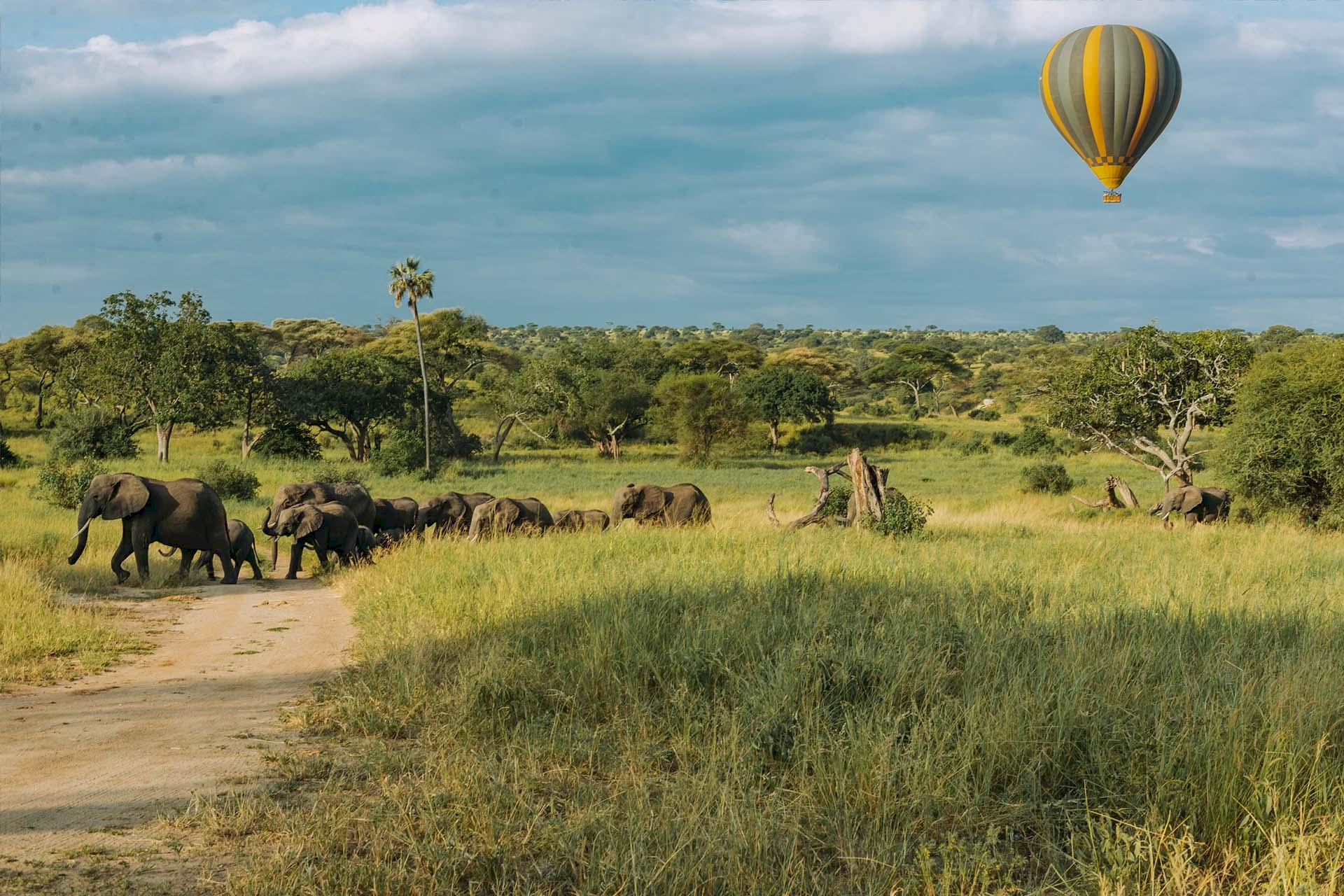 Serengeti Ultimate Balloon Safari