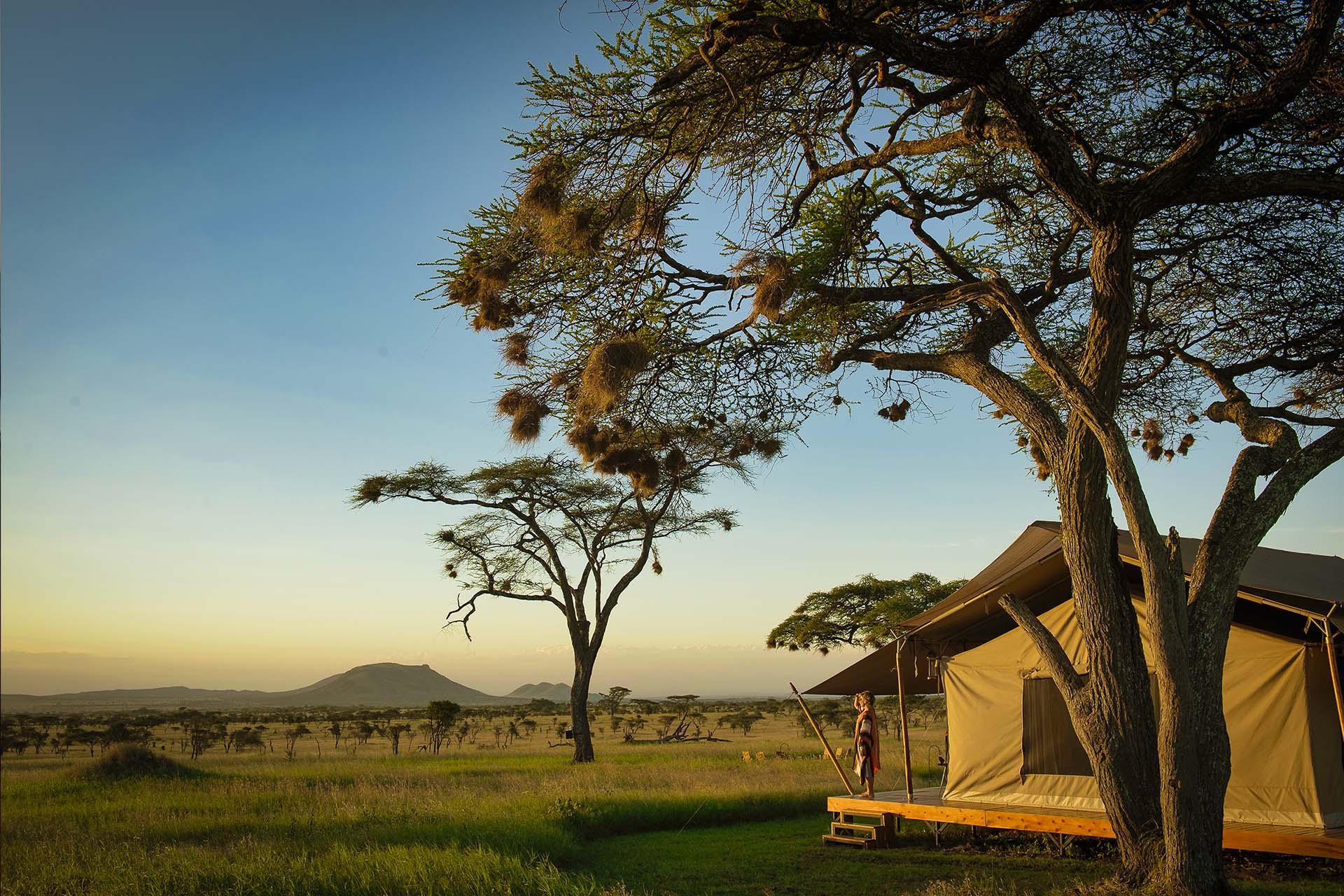 Enjoy this view from your private tent at Siringit Serengeti Camp in the middle of the Serengeti National Park, Tanzania